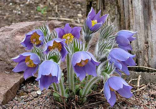 №1428999 - оригинал