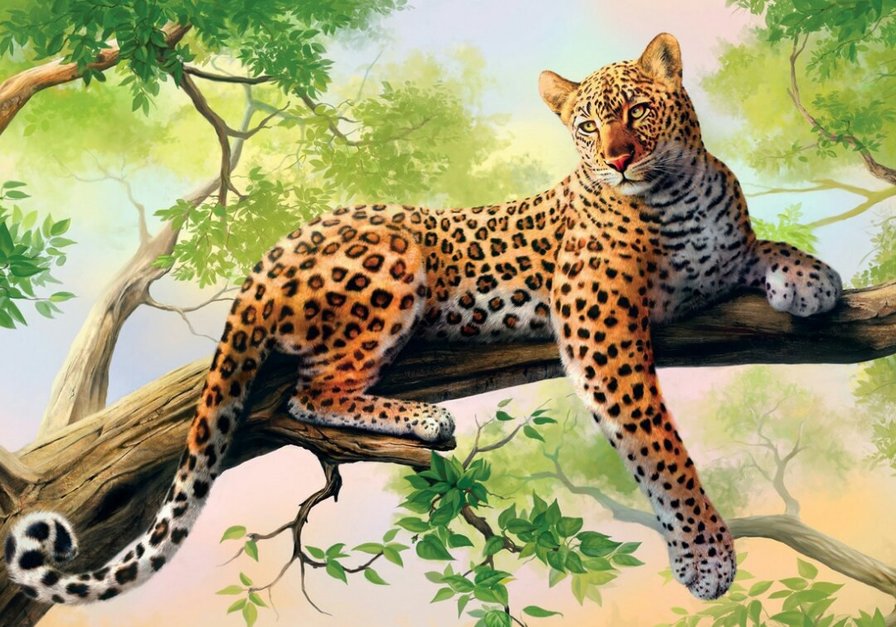 Дикие кошки - природа, животные, дикие кошки - оригинал