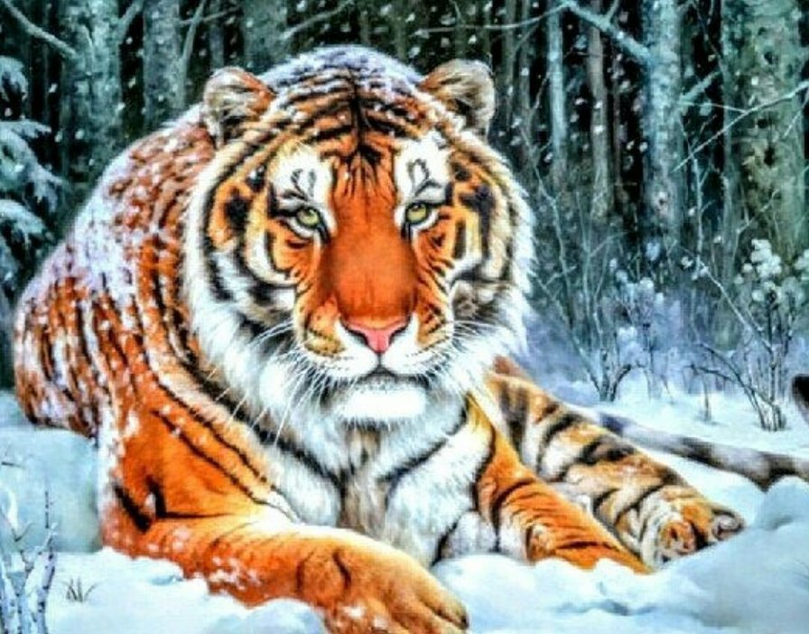 тигр на природе - животные, природа, тигр - оригинал