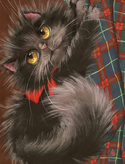 Кошечка - животные кошка - оригинал