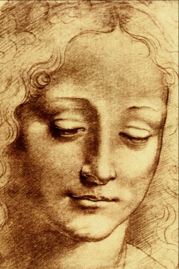 Рисунок женской головы Леонардо да Винчи - рисунок леонардо да винчи, монохромный рисунок, женская голова - оригинал