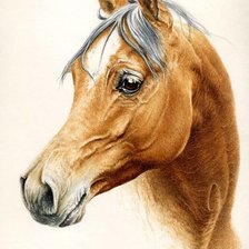 Схема вышивки «№1430523»