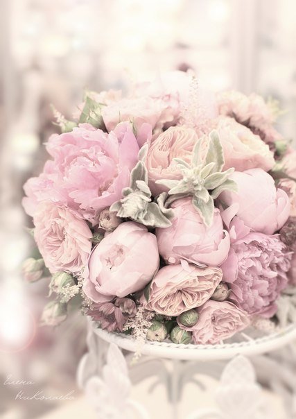 Нежный букет - цветы - оригинал