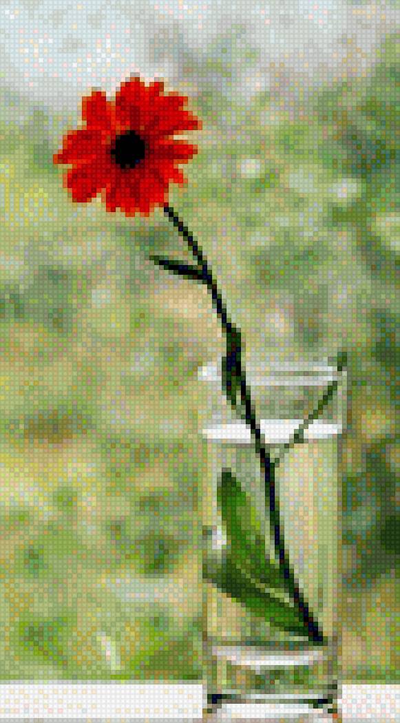 Цветок - цветы - предпросмотр