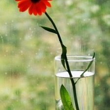 Схема вышивки «Цветок»