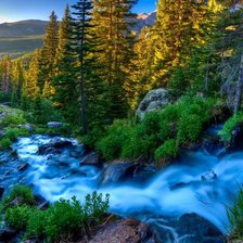 Схема вышивки «Лес»