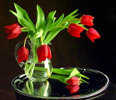 Семь ноть красоты - тюльпани, цветы - оригинал