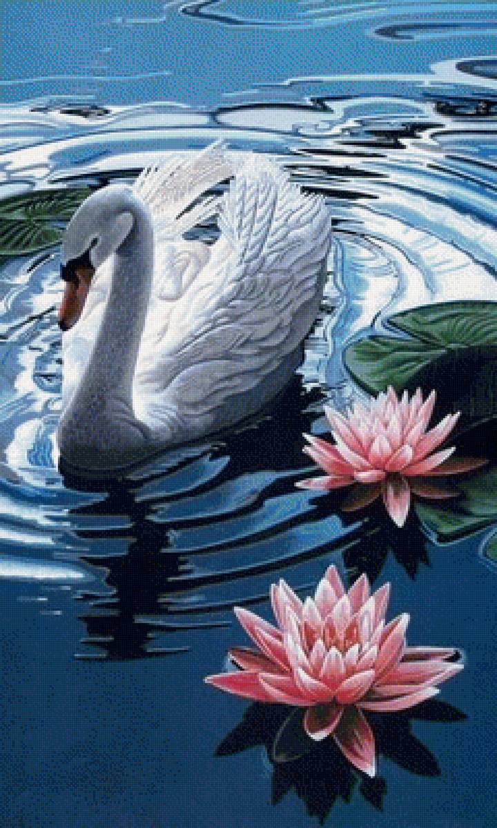 лебедь - предпросмотр