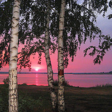 Схема вышивки «№1432361»