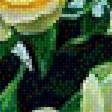 Предпросмотр схемы вышивки «розы» (№1432550)