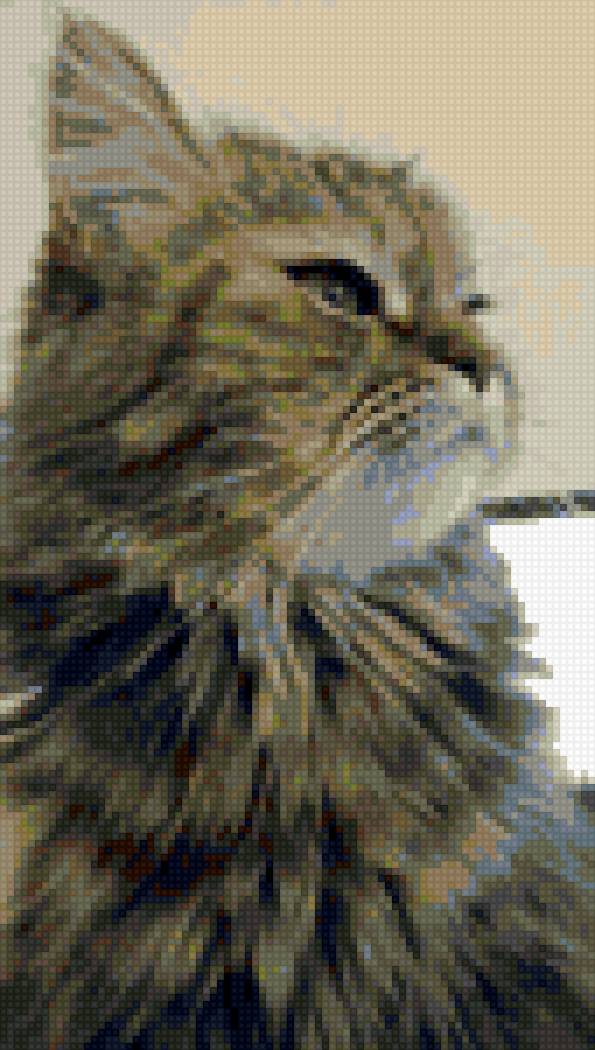 Ляля - предпросмотр