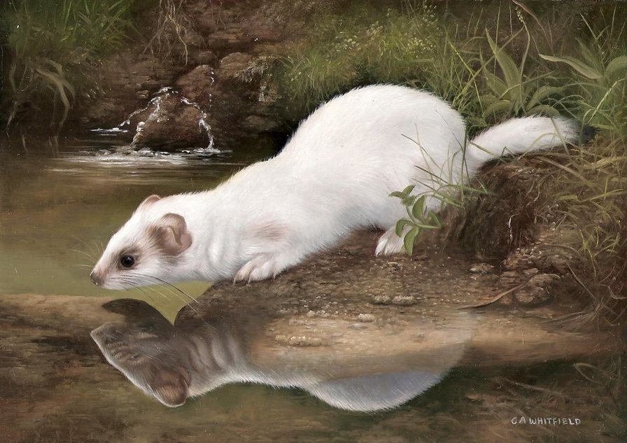 №1433473 - оригинал