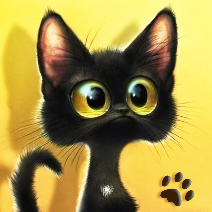 Нуар - черный кот, смешной кот, животные - оригинал