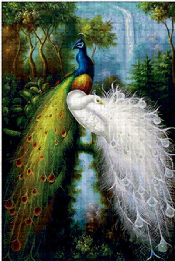 паун - оригинал