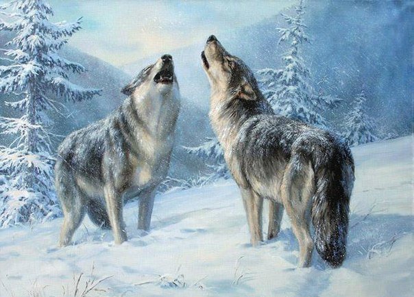ДУЭТ-1 - волки, зимний лес - оригинал