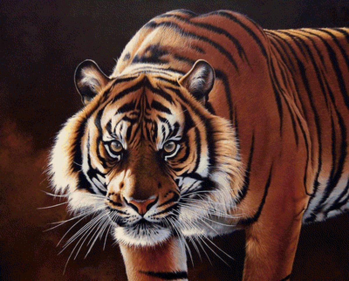 №1435377 - животные, хищники, тигры, тигр - предпросмотр