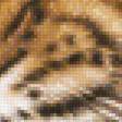 Предпросмотр схемы вышивки «тигр» (№1435413)