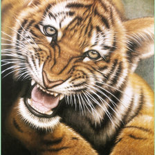 Оригинал схемы вышивки «тигр» (№1435413)