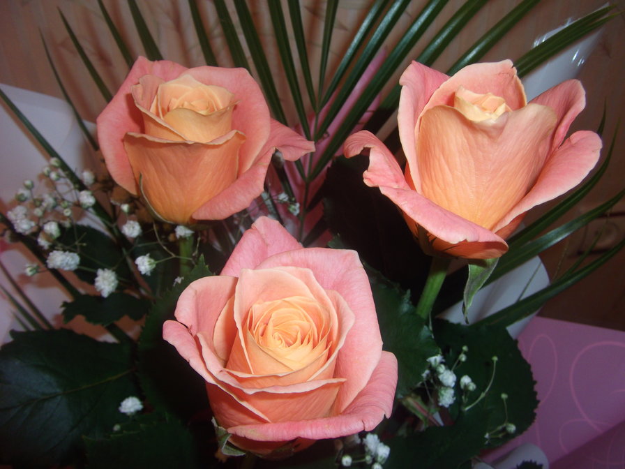 розы в букете - цветы., букет, роза - оригинал