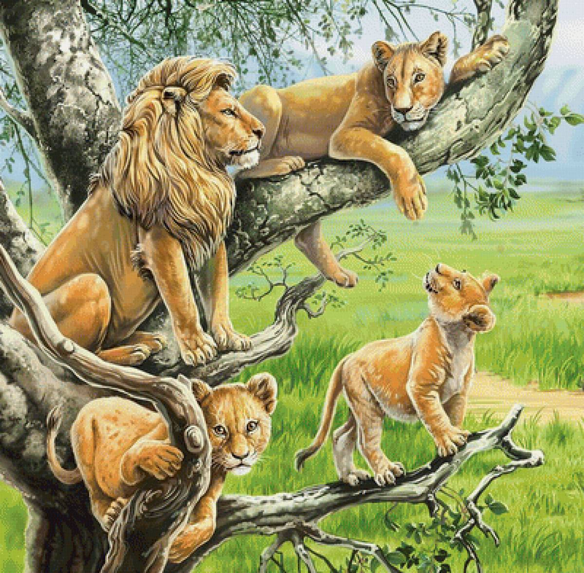 мир животных - предпросмотр