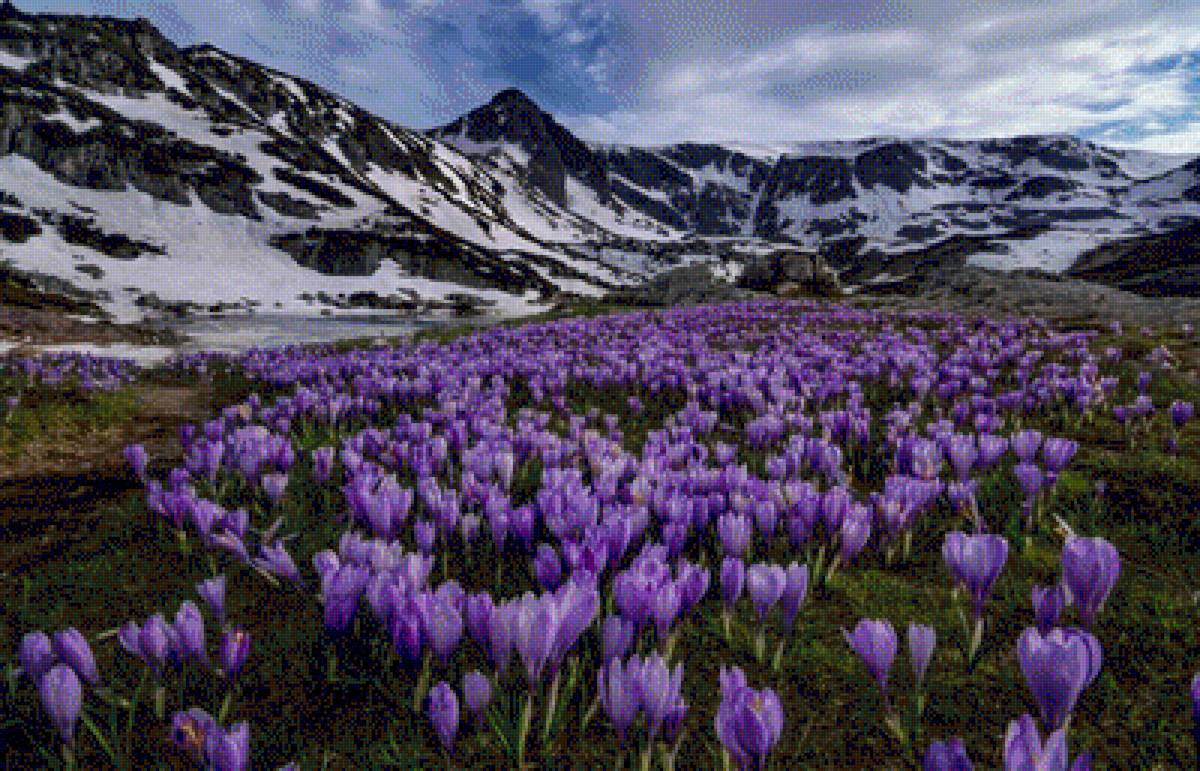 весна - природа, весна, планина, сезон, пролет - предпросмотр