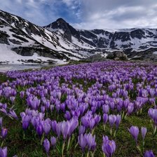 Схема вышивки «весна»