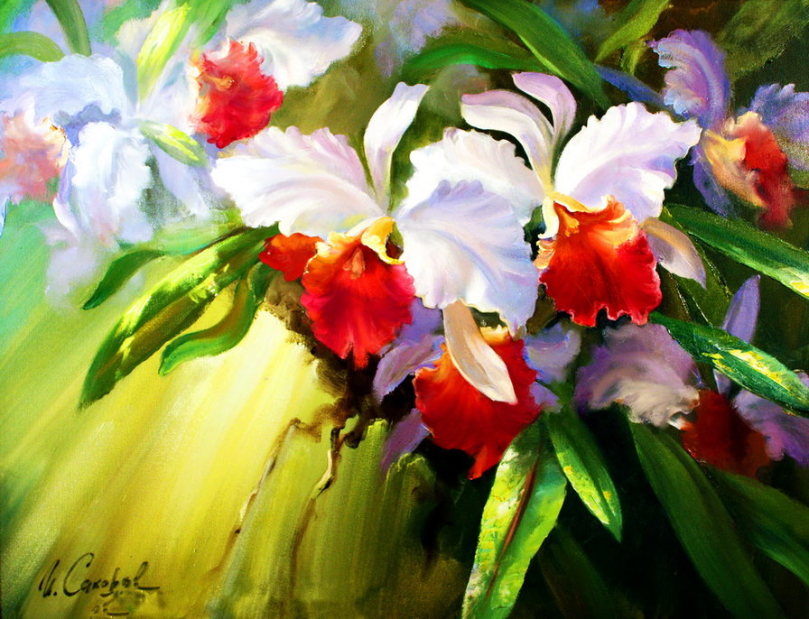 Шикарные орхидеи. - картина, орхидеи, цветы - оригинал