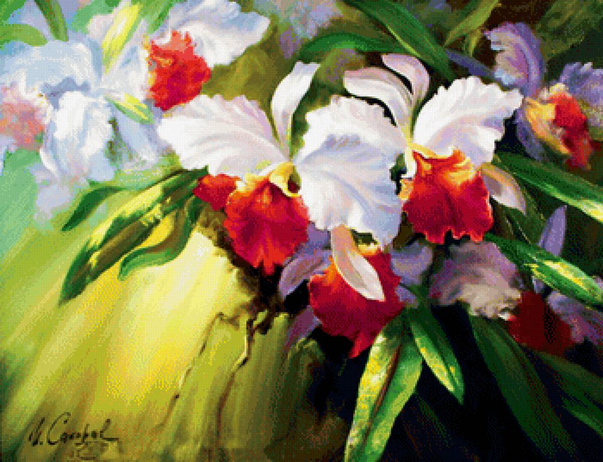 Шикарные орхидеи. - картина, орхидеи, цветы - предпросмотр