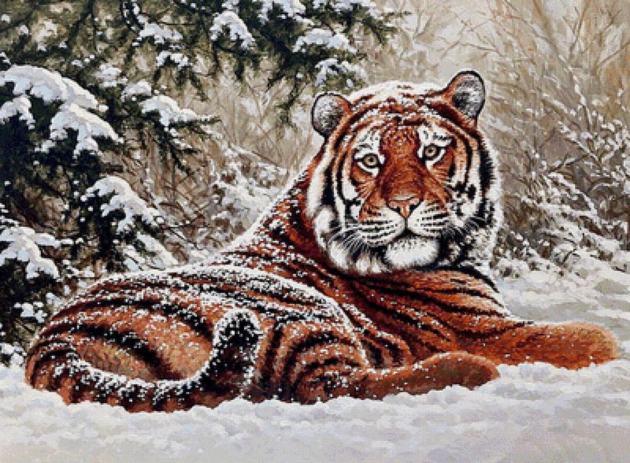 тигр - оригинал