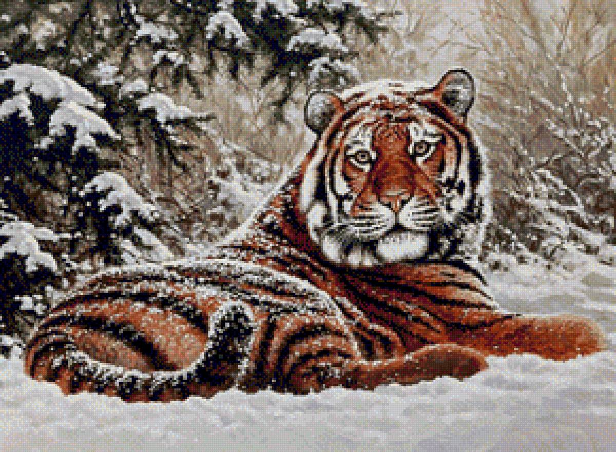 тигр - предпросмотр