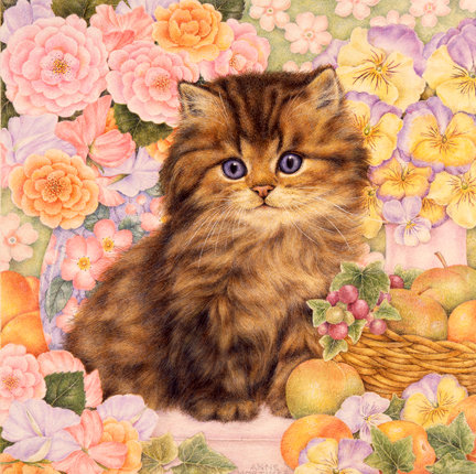 котик - коты, природа, котята, кот, котенок, цветы, лето - оригинал