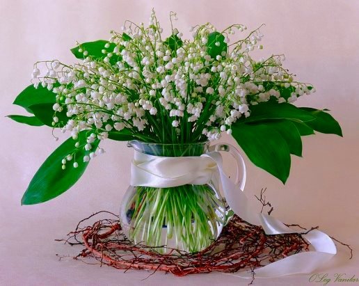 ландыш в стакане - оригинал