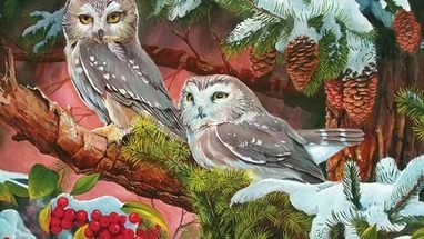 СОВЫ - птицы - оригинал