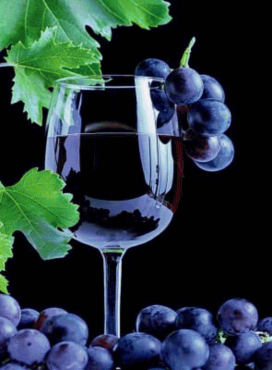 Черный виноград вино. Вино и виноград. Гроздь винограда вино. Виноградная лоза вино. Натюрморт на темном фоне.