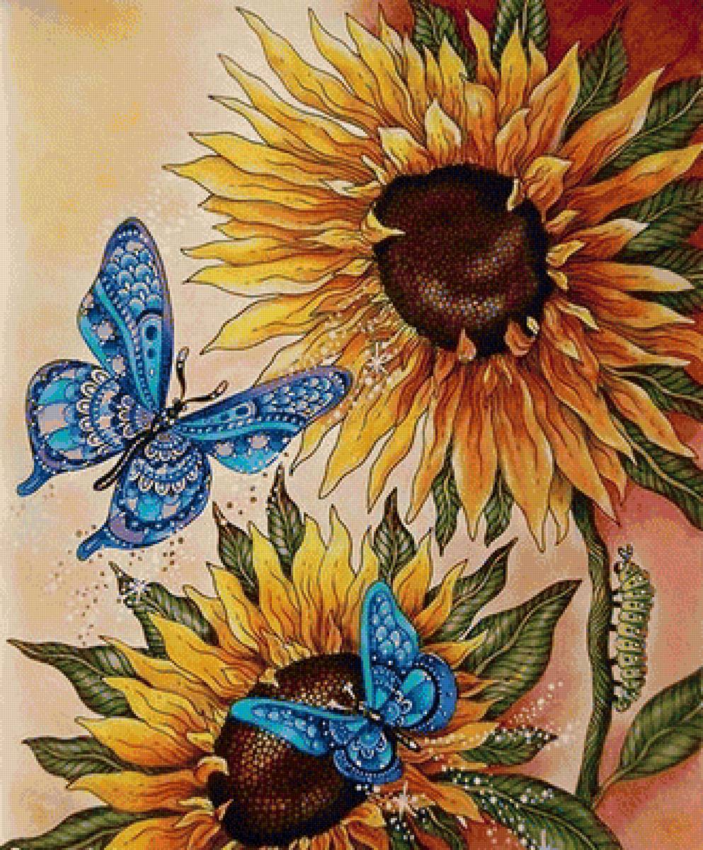 бабочки - предпросмотр