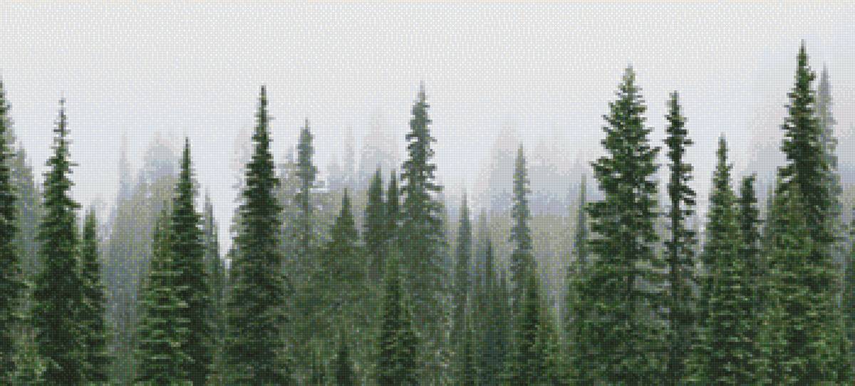 Лес - фото, ничего лишнего, природа, лес - предпросмотр