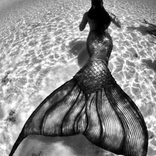 Схема вышивки «№1439011»