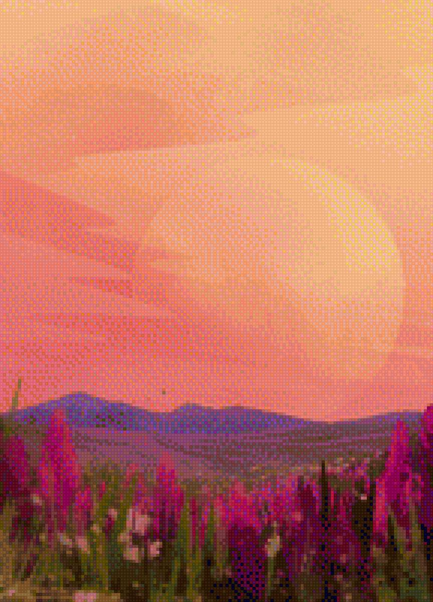 Ирисы на закате - природа, цветы, луг, ирисы, пейзаж, луна, закат - предпросмотр