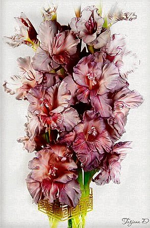 розовые гладиолусы - оригинал