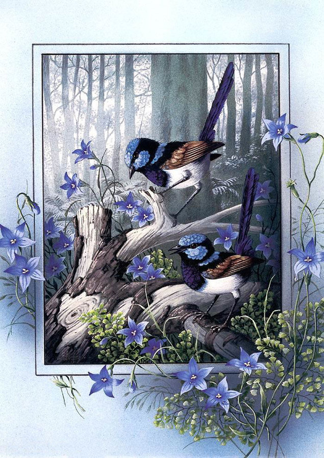 голубые птички - птицы - оригинал