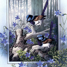 Оригинал схемы вышивки «голубые птички» (№1439537)