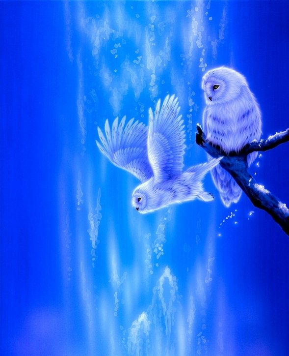 совушки - птицы - оригинал