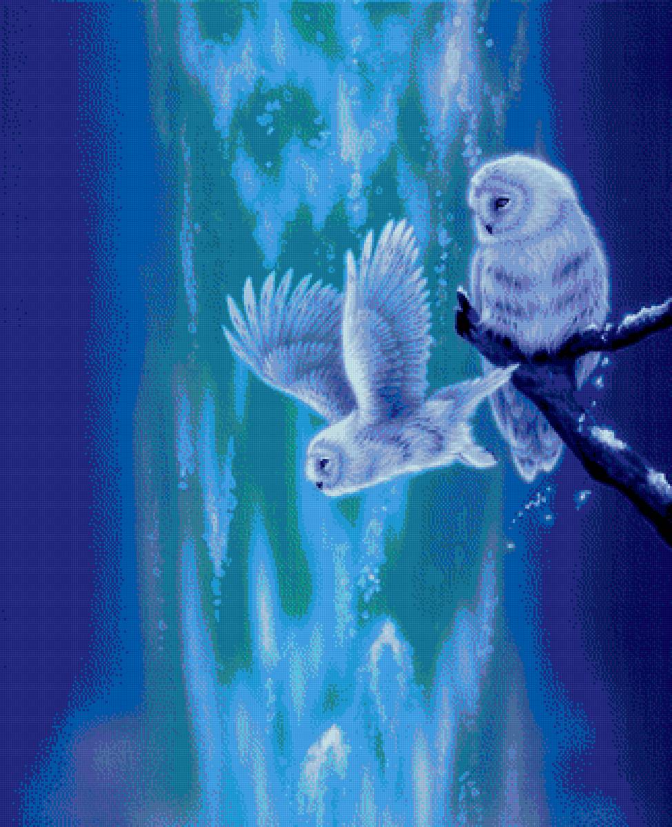 совушки - птицы - предпросмотр