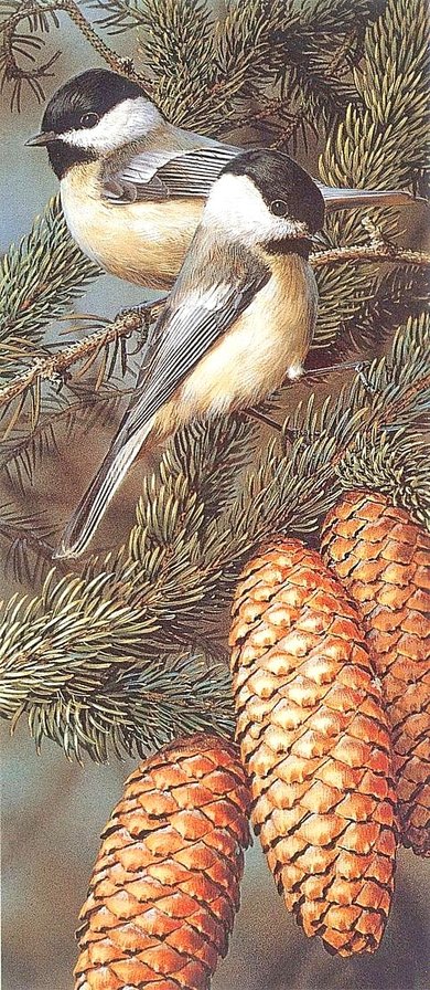 №1439606 - оригинал