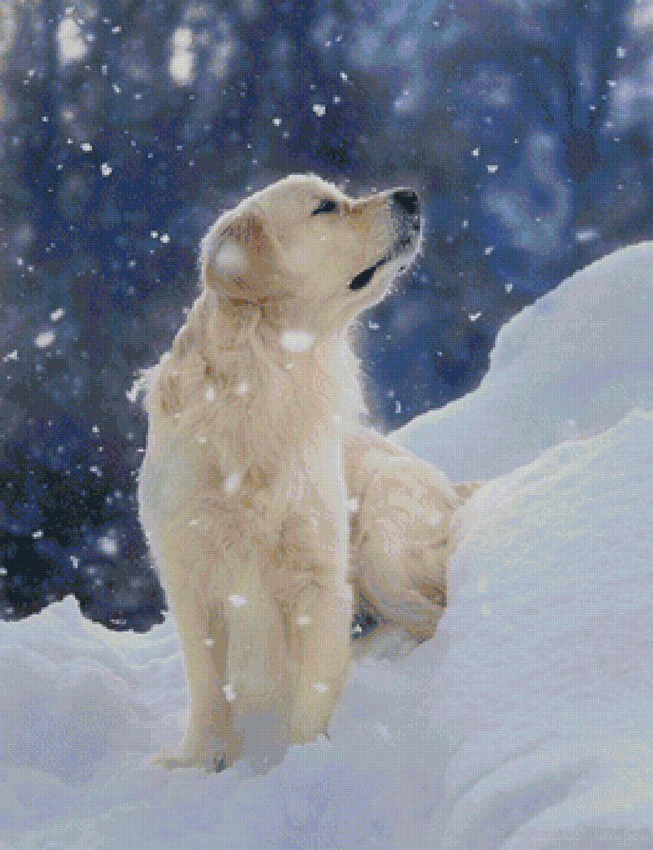 ЩЕНОК - предпросмотр