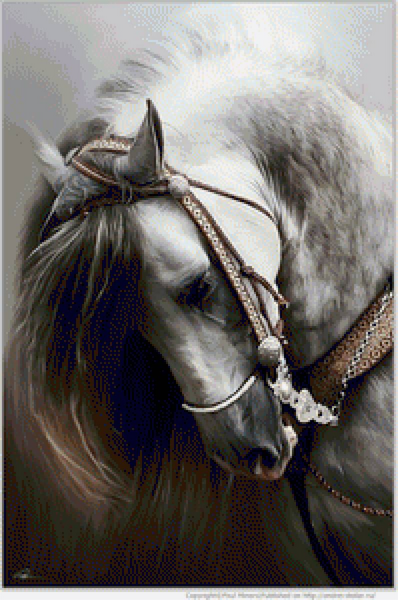 Paul Miners - предпросмотр