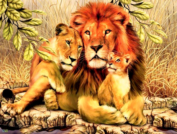 львиная семья - лев, гамма, крестиком, львиная семья, львы, семья - оригинал