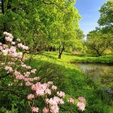 Схема вышивки «Пейзаж»