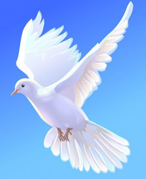Птица мира - птицы, небо, голубь - оригинал