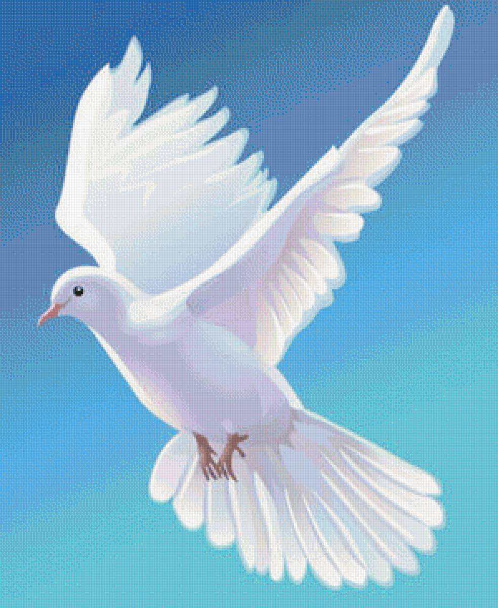 Птица мира - птицы, небо, голубь - предпросмотр